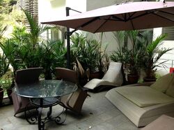 The Levelz (D10), Condominium #463443871